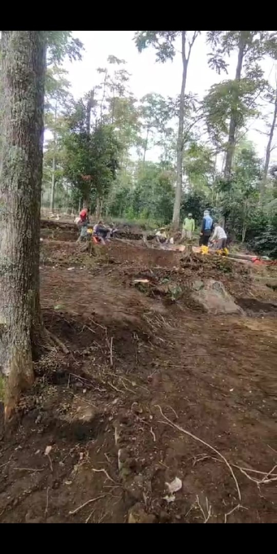Gambar Berita